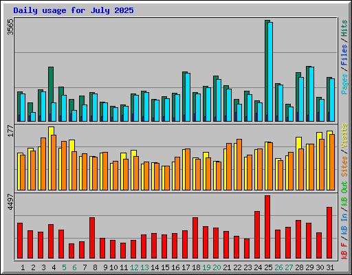 Daily usage for July 2025