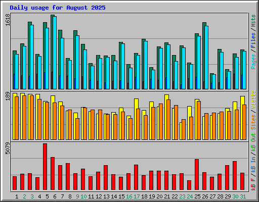 Daily usage for August 2025