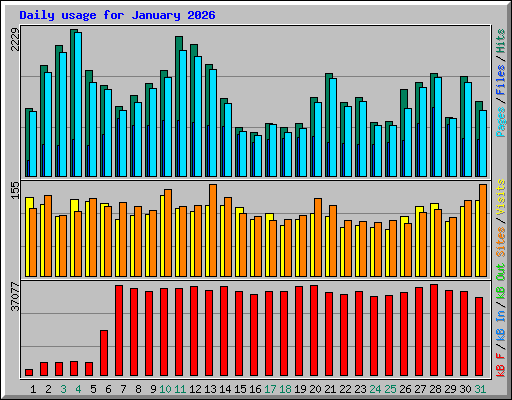 Daily usage for January 2026