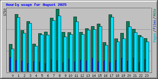 Hourly usage for August 2025
