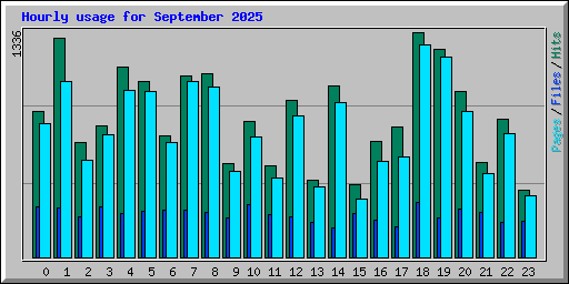 Hourly usage for September 2025