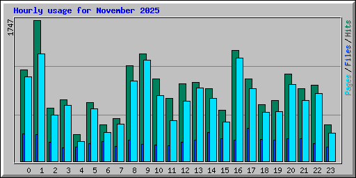 Hourly usage for November 2025