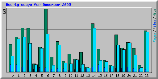 Hourly usage for December 2025