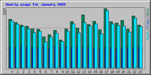 Hourly usage for January 2026