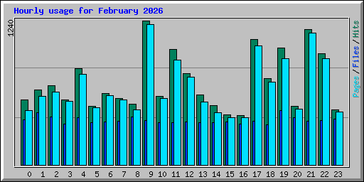 Hourly usage for February 2026